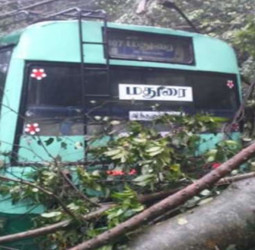 🌧️ கொடைக்கானலில் 'டிட்வா' புயலின் கோரத் தாண்டவம்: சுற்றுலாத் தலங்கள் மூடல்.