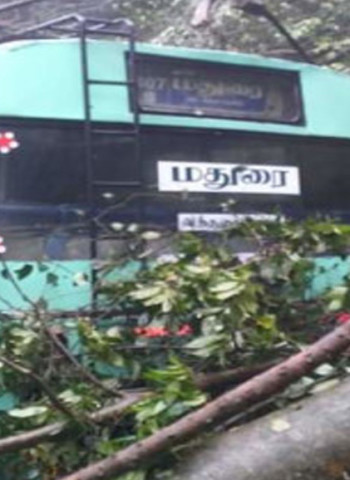 🌧️ கொடைக்கானலில் 'டிட்வா' புயலின் கோரத் தாண்டவம்: சுற்றுலாத் தலங்கள் மூடல்.